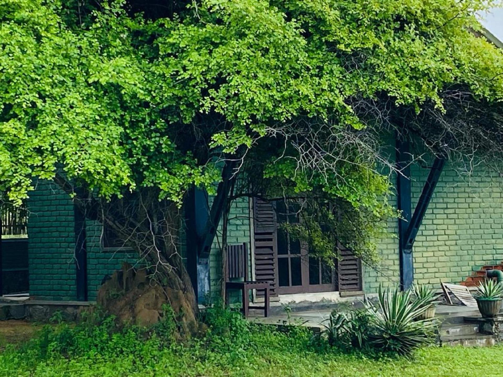Yala Ying Yang Hostel & Camping Экстерьер фото