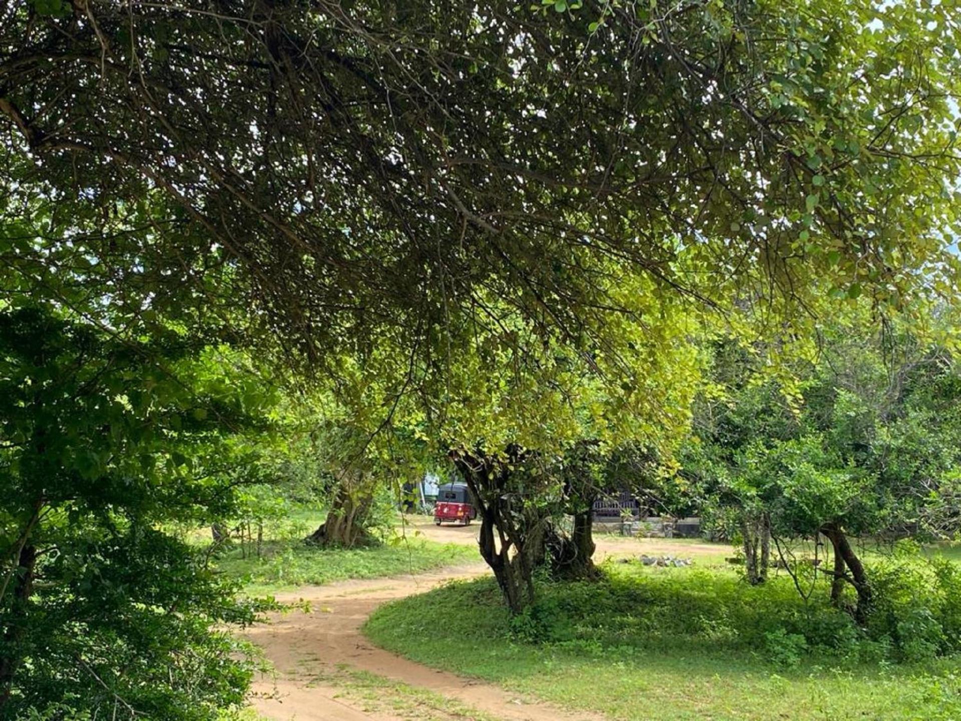 Yala Ying Yang Hostel & Camping Экстерьер фото