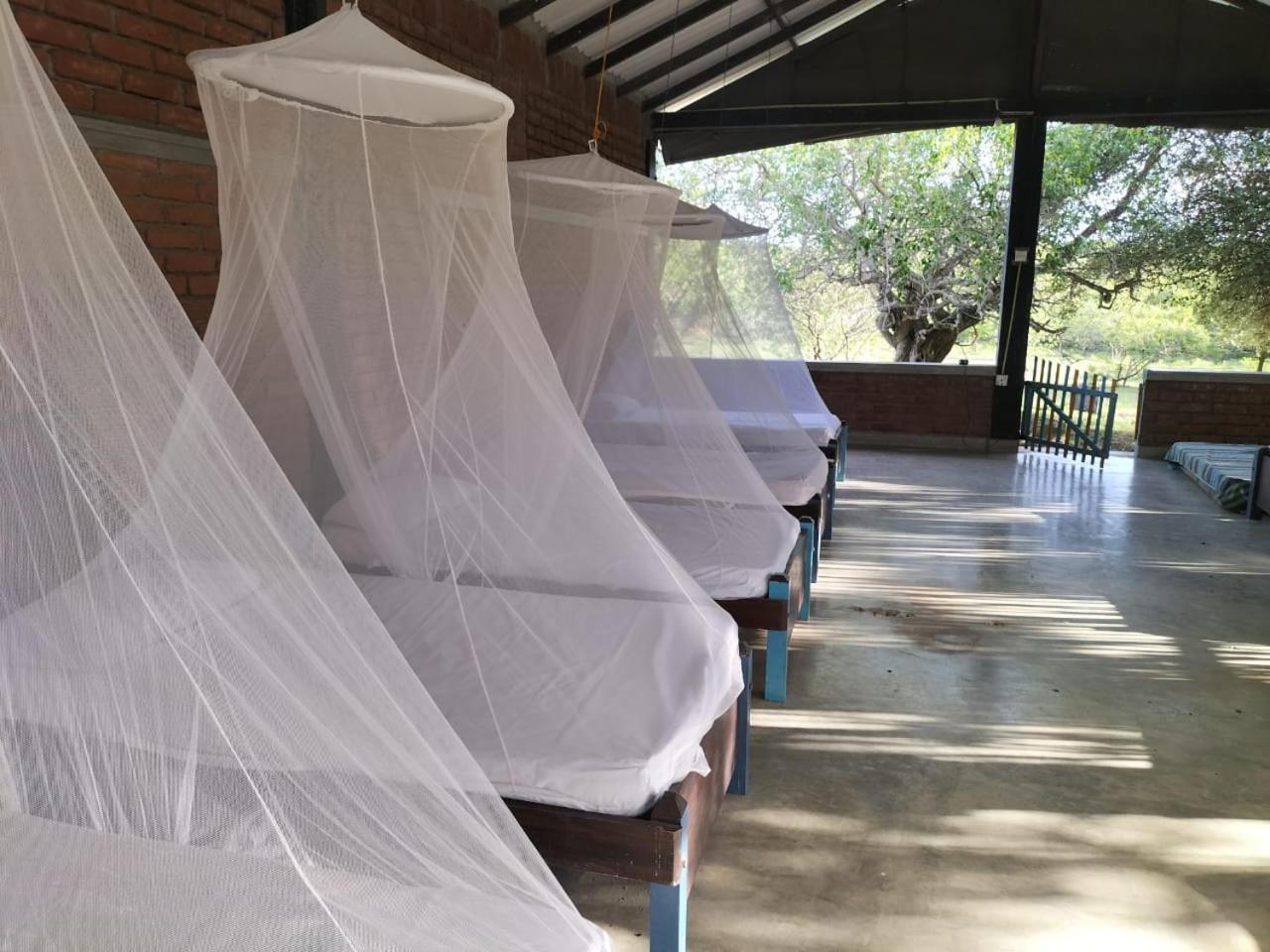 Yala Ying Yang Hostel & Camping Экстерьер фото