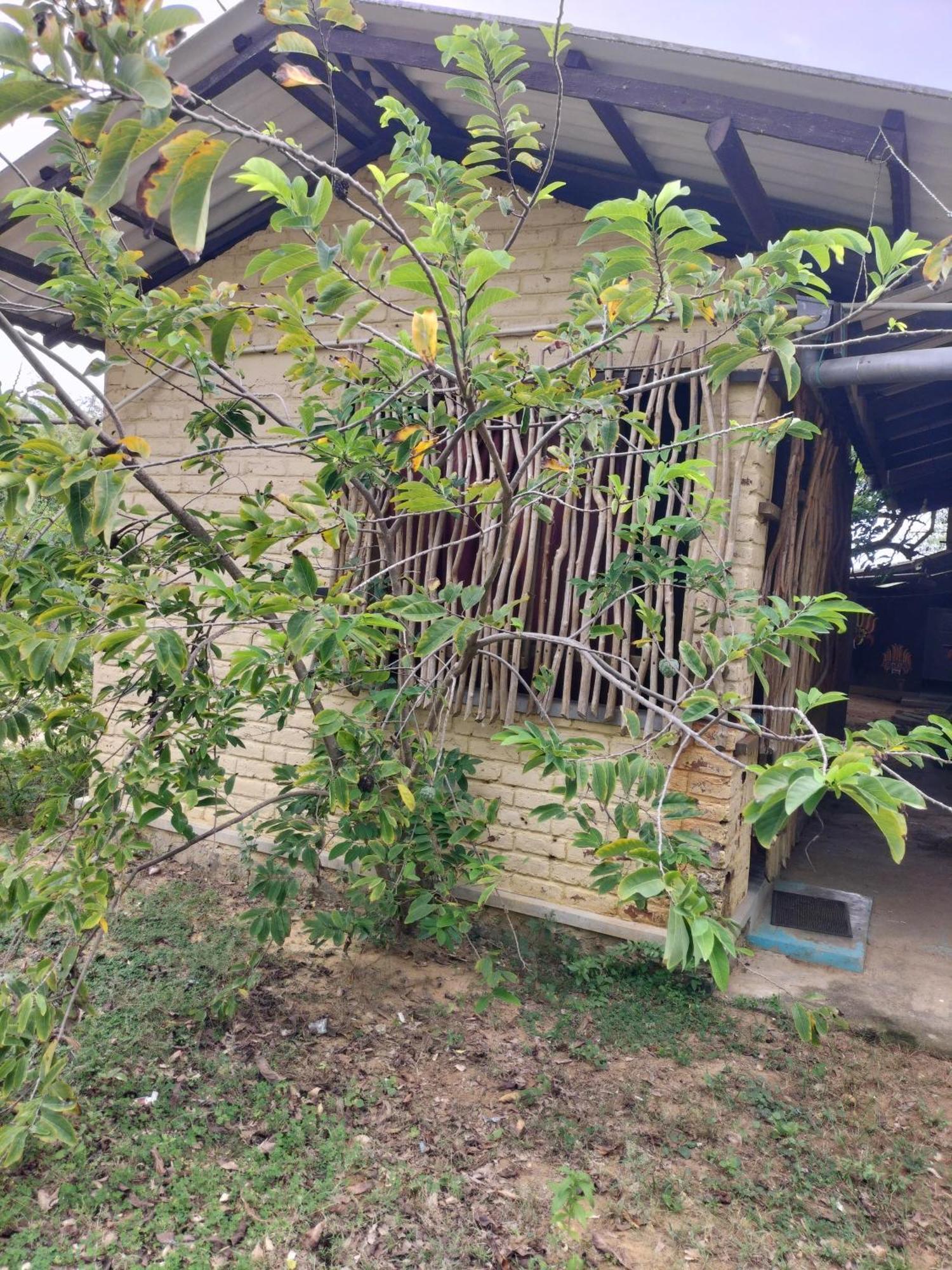 Yala Ying Yang Hostel & Camping Экстерьер фото